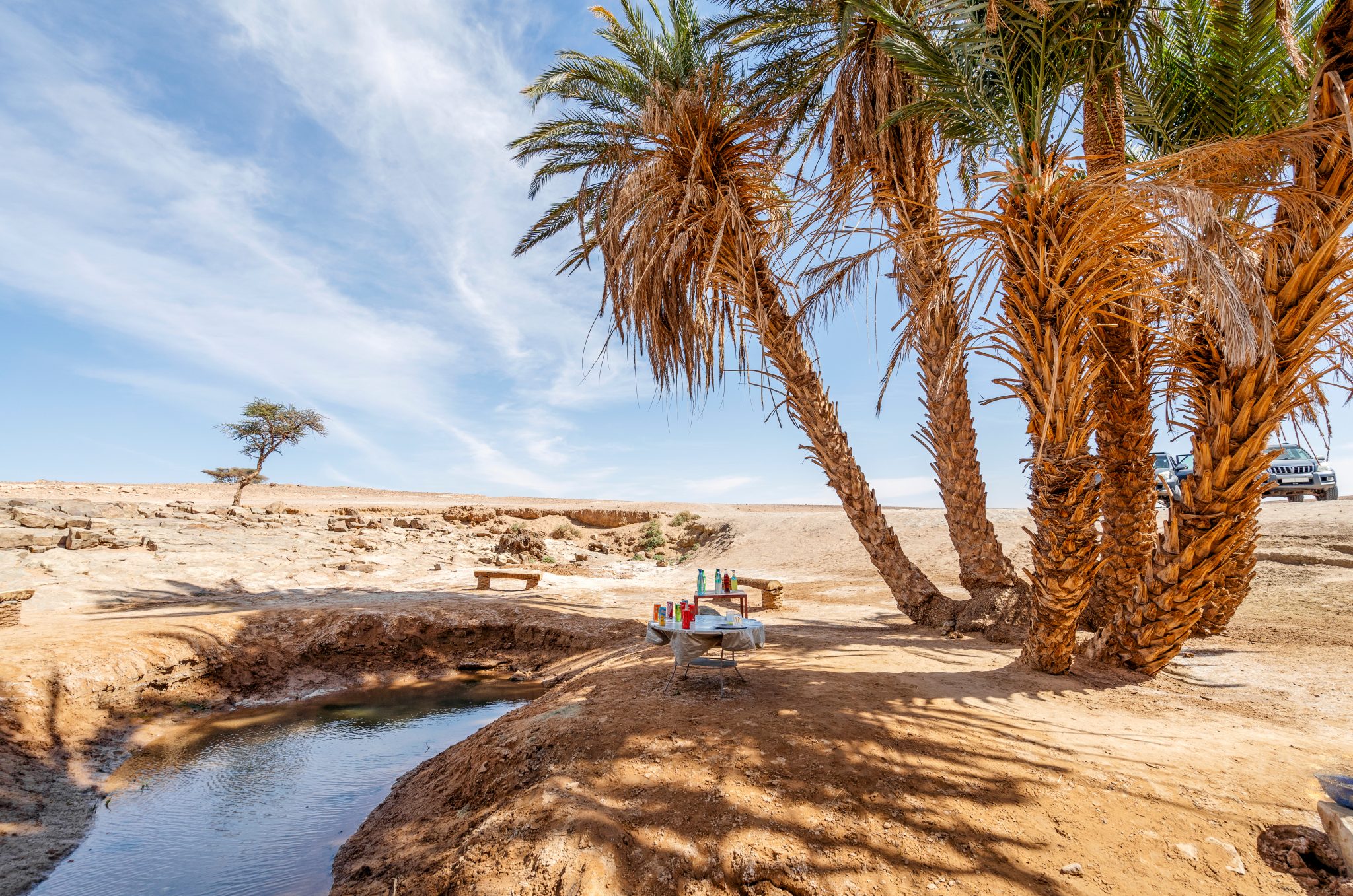 Oasis,With,Palm,Trees,On,Sahara,Dessert,,Morocco,,Africa