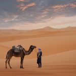 Berber,With,His,Dromedary,In,The,Sahara,Desert,In,Morocco